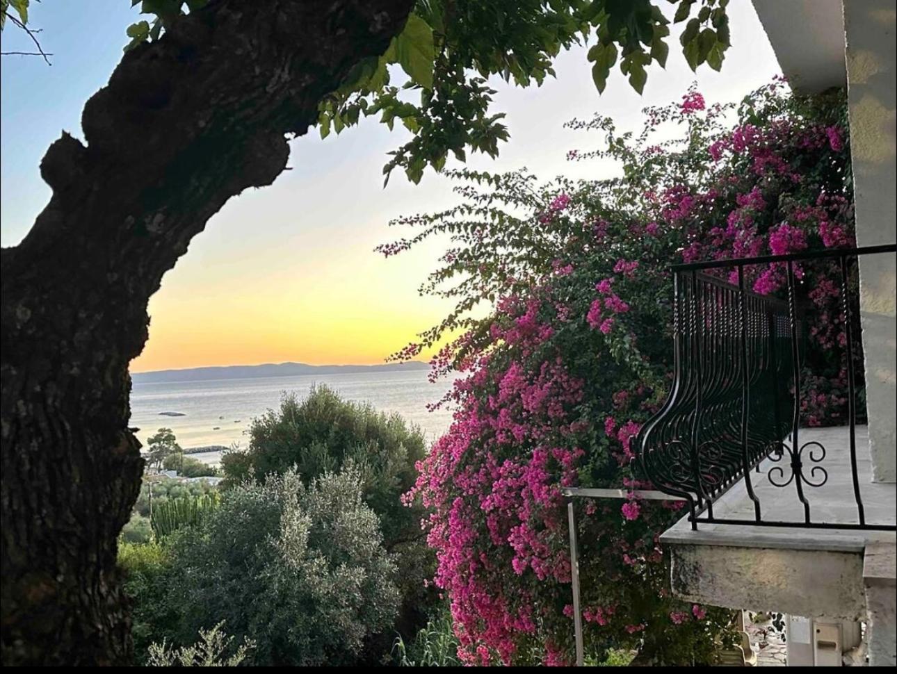 Villa Pinelopi Kalamáta Kültér fotó